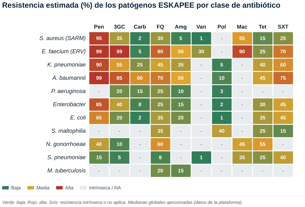 Resistance map of ESKAPEE pathogens against each antibiotic class